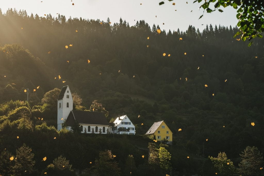 fall, leaves are falling, golden-4491113.jpg